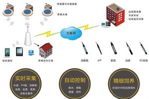 山東華勝物聯(lián)網(wǎng)智能水產(chǎn)養(yǎng)殖系統(tǒng)設(shè)計方案