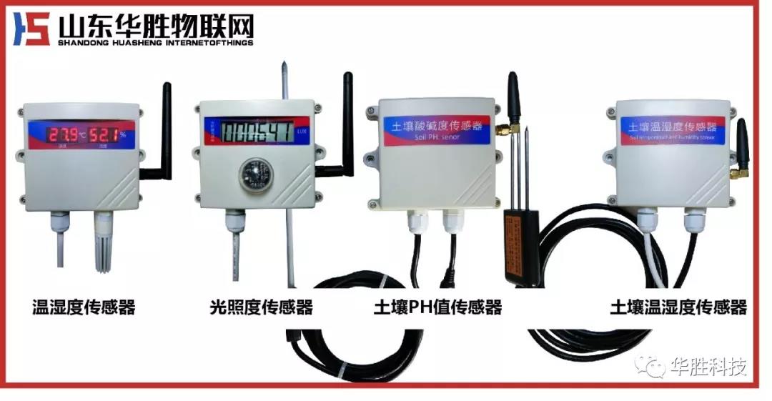 溫室月季的栽培管理技術
