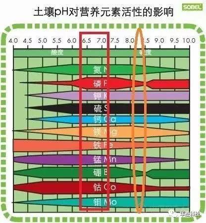 土壤的三大“殺手” 直接影響肥效和作物生長，90％的人都不知道！