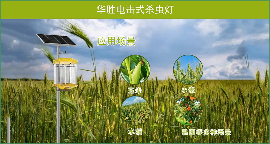 您還在愁怎么殺蟲嗎？來看看華勝電擊式殺蟲燈（HS-DJSC-M）?。?！